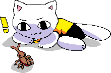 A silly white cat watches a beetle intently. I think it's from nekojiru? I completely forgot where I got the image from, I'm sorry